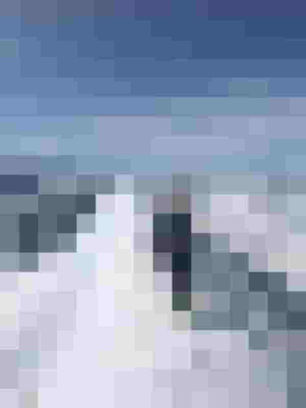 Skifahrer mit Stöcken auf schneebedecktem Grat, Alpenpanorama, Luftaufnahme, Winter, Drohnenfoto